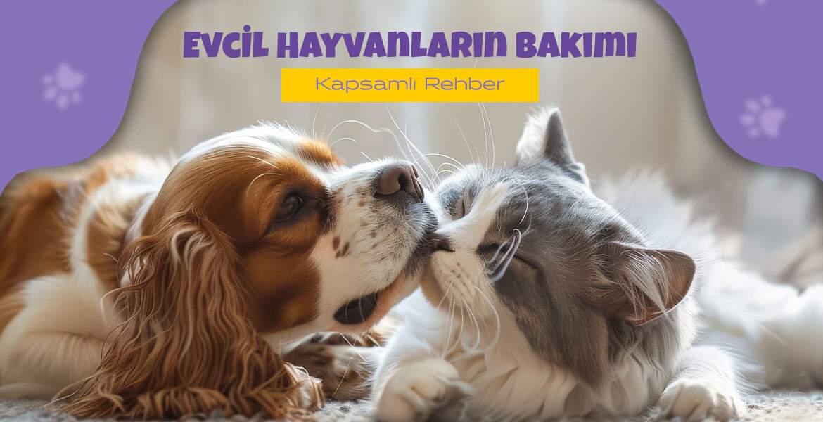Evcil Hayvanların Bakımı: Kapsamlı Rehber