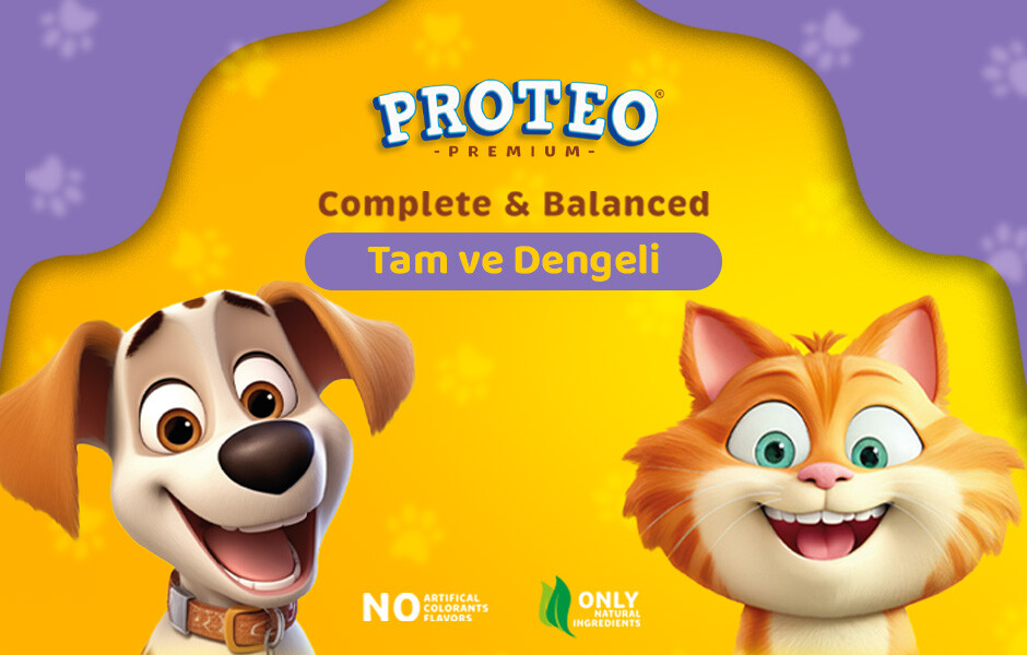Proteo'nun Yeni Ürün Serisi!