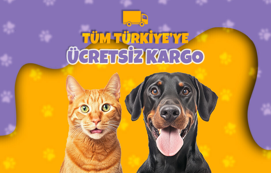 Kargo Ücretsiz! Şimdi Sipariş Verin!