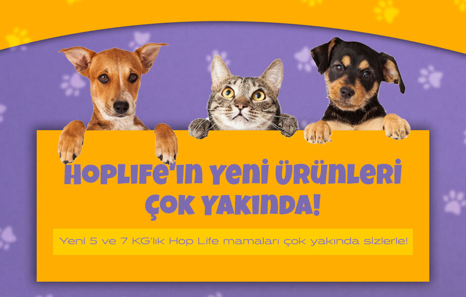 Hoplife'ın Yeni Ürünleri Çok Yakında!