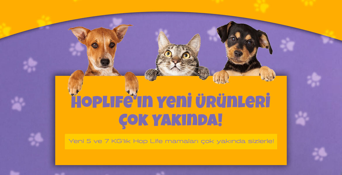 Hoplife’ın Yeni Ürünleriyle Tanışmaya Hazır mısınız?