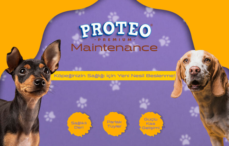 Proteo Maintenance: Köpeğinizin Sağlığı İçin Yeni Nesil Beslenme!