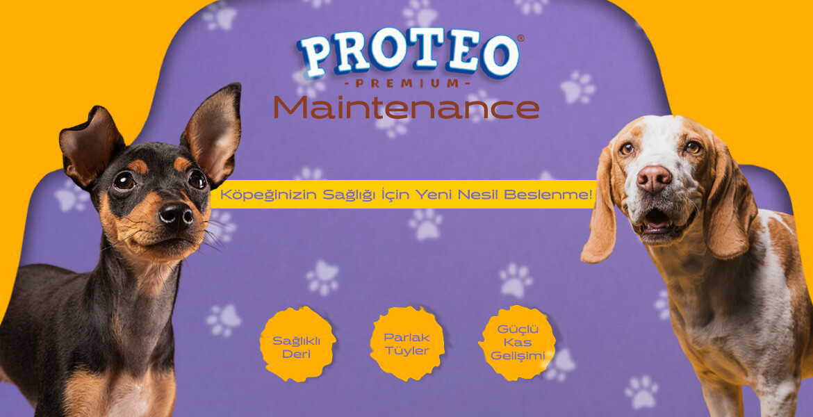 Proteo Maintenance Yetişkin Köpek Maması Şimdi Heptazemama’da!