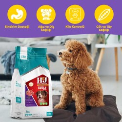 Health & Joy (H&J) Premium Kuzu Etli ve Pirinçli Yetişkin Köpek Maması 2 Kg - 2