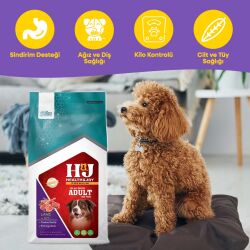 Health & Joy (H&J) Premium Kuzu Etli ve Pirinçli Yetişkin Köpek Maması 12 Kg - 2