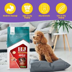 Health & Joy (H&J) Premium Somonlu ve Pirinçli Yetişkin Köpek Maması 12 Kg - 2