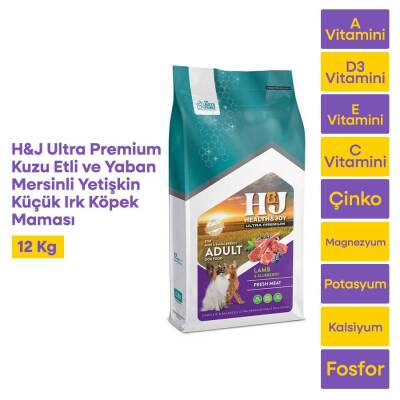 Health&Joy (H&J) Ultra Premium Kuzu Etli ve Yaban Mersinli Yetişkin Küçük Irk Köpek Maması 12 Kg - 1