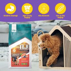 Health&Joy (H&J) Ultra Premium Somonlu ve Yaban Mersinli Yetişkin Orta ve Büyük Irk Köpek Maması 12 Kg - 2